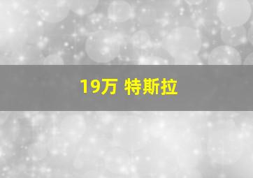 19万 特斯拉